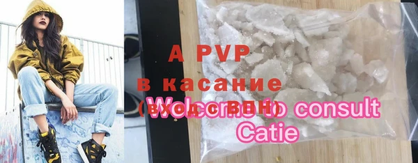 apvp Ельня
