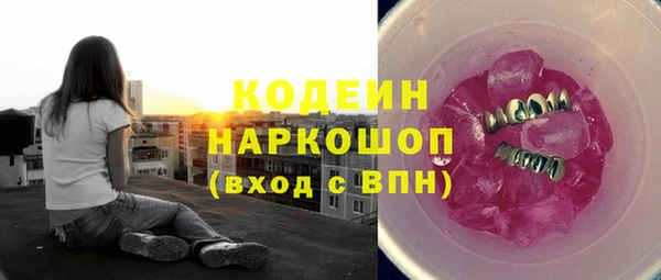 гидра Елабуга
