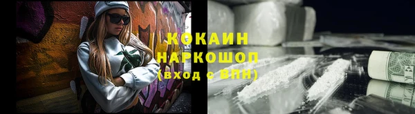 apvp Ельня