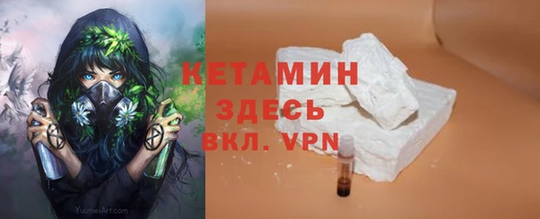 apvp Ельня