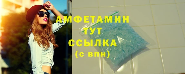 гидра Елабуга