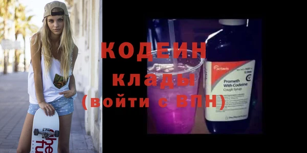 гидра Елабуга