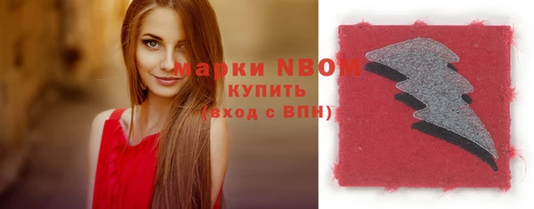 гидра Елабуга