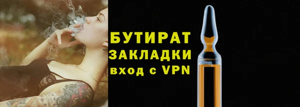 гидра Елабуга