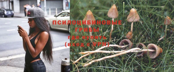 apvp Ельня