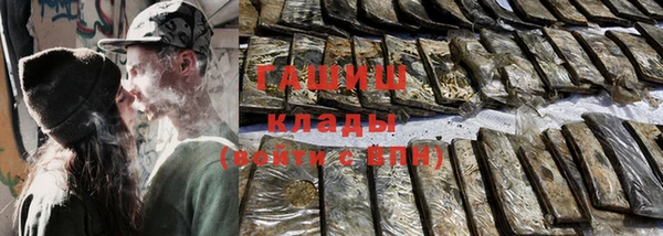 гидра Елабуга