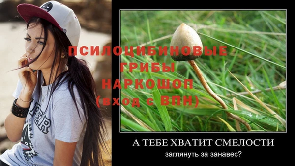 альфа пвп Елизово
