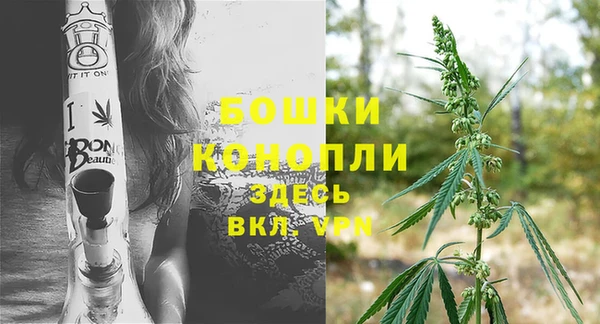 гидра Елабуга