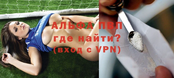 гидра Елабуга