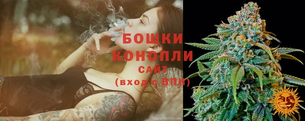 гидра Елабуга
