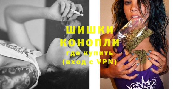 apvp Ельня