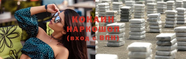 гидра Елабуга